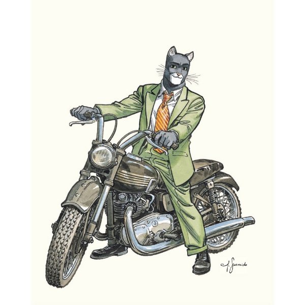 blacksad.jpg
