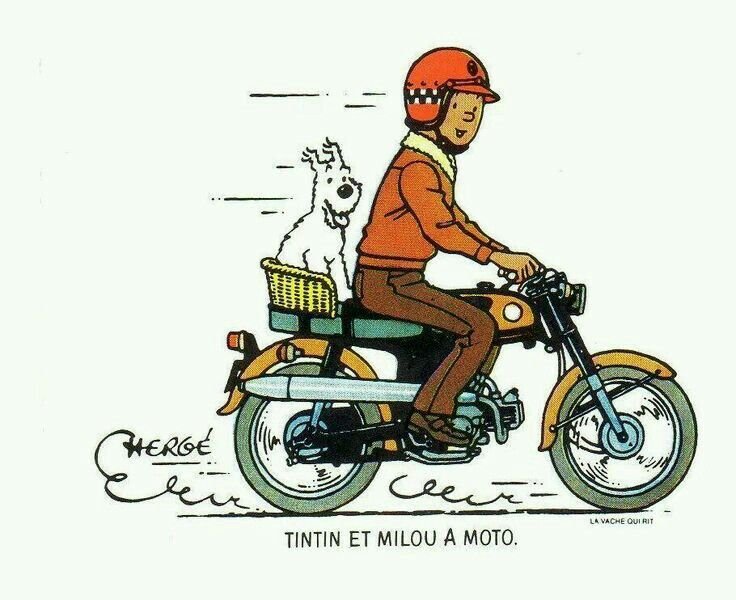 tintin Honda SS 50.jpg