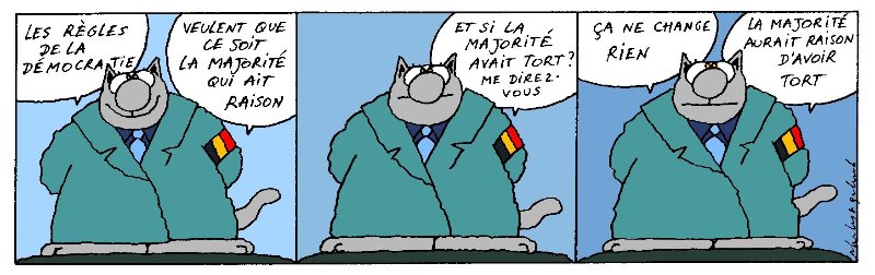 le chat.jpg