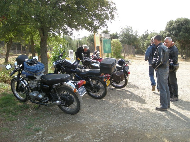 DSCN5.jpg