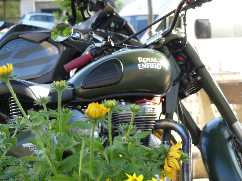 1000372(0)_resize_64.jpg