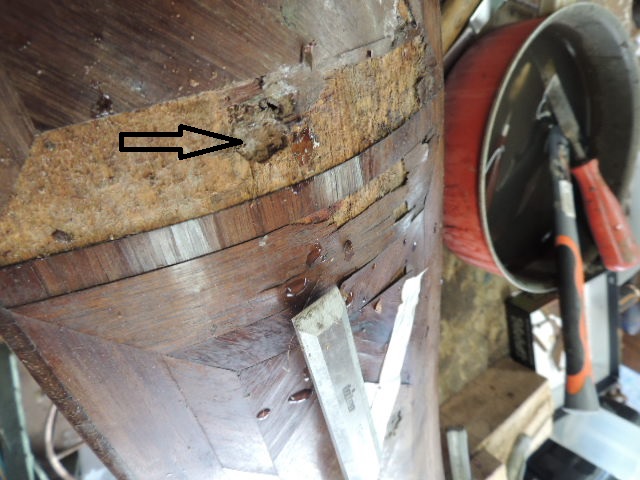 DSCN3306.JPG