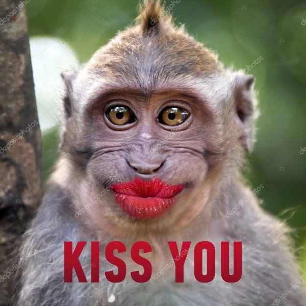 depositphotos_69189491-stock-photo-funny-monkey-with-a-red.jpg