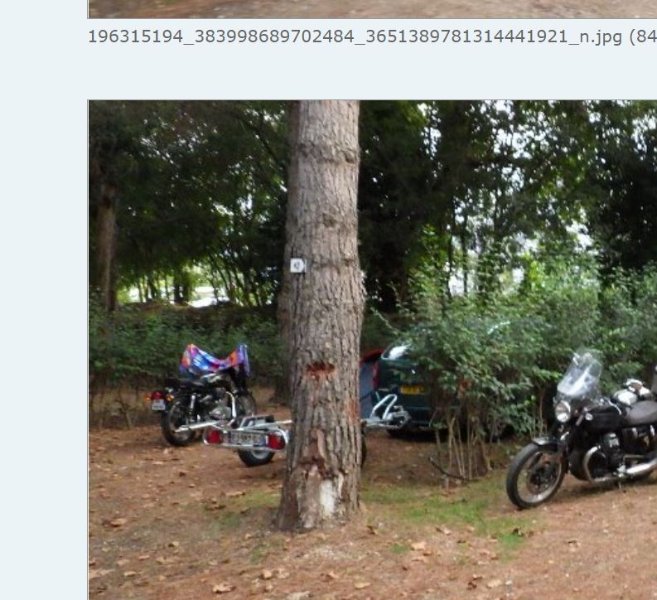 Capture.JPG