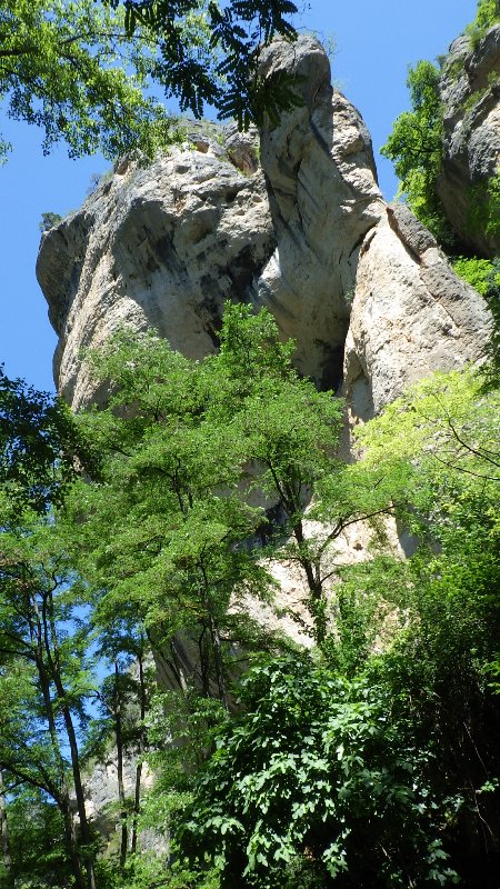 RIMG6607.JPG