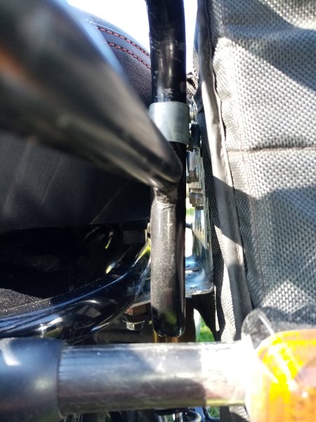IMG_20210330_104453_compress48.jpg