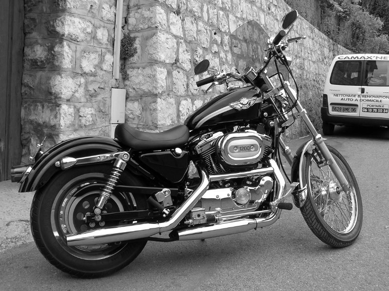 HD 1200 Sporster custom (1).jpg