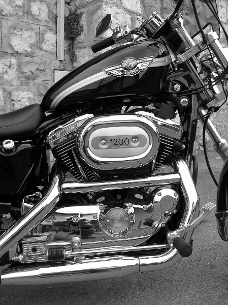 HD 1200 Sporster custom (7).JPG