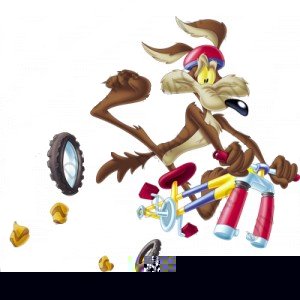 moto_coyote_zoom.jpg