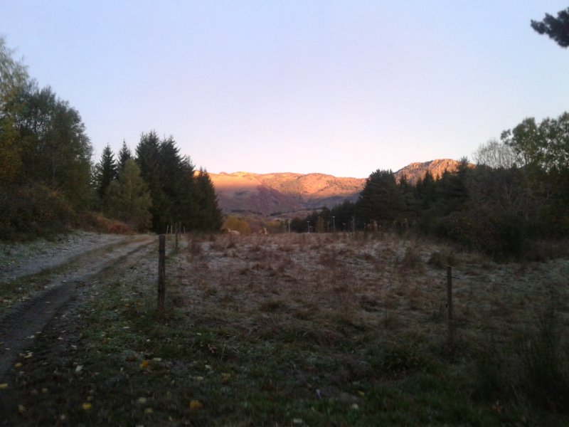 20211029_082857.jpg