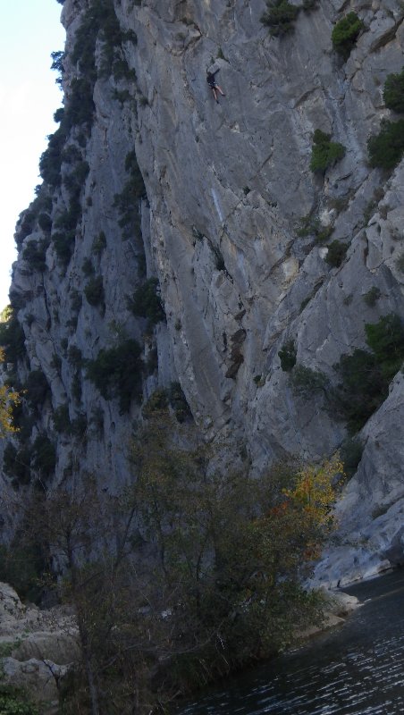 RIMG8419.JPG