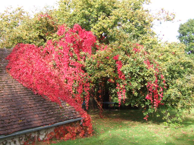 DSCF3022.JPG