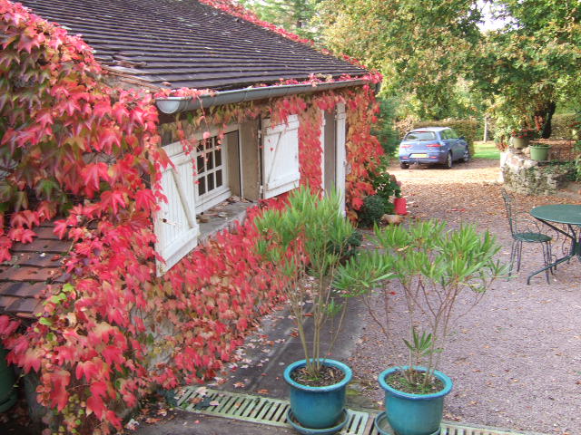 DSCF3036.JPG