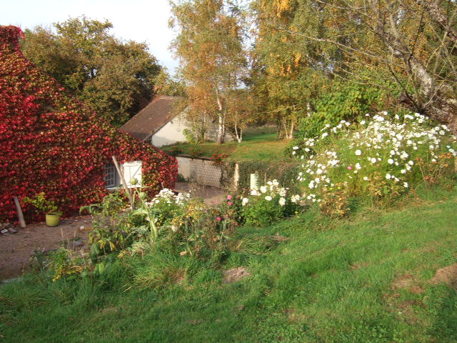DSCF3039.JPG