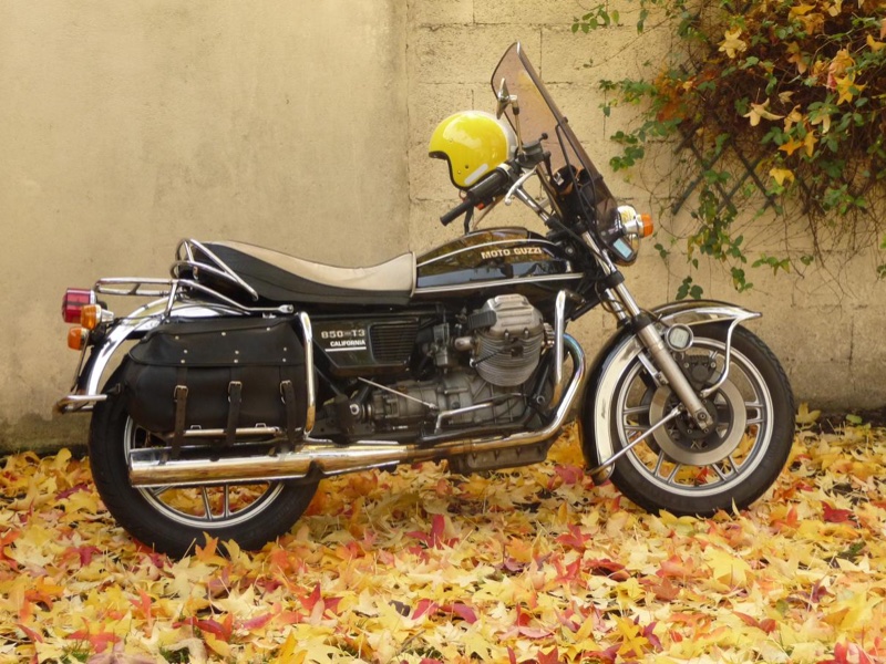 Calif d'automne.JPG