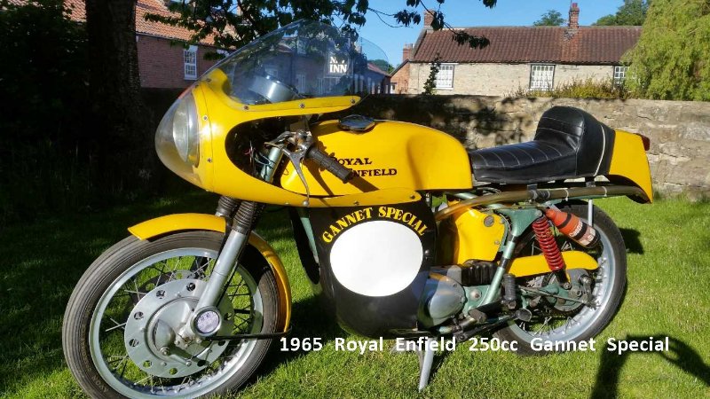 Gannet Special with titles.jpg