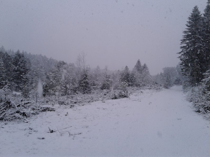 20211124_092917.jpg