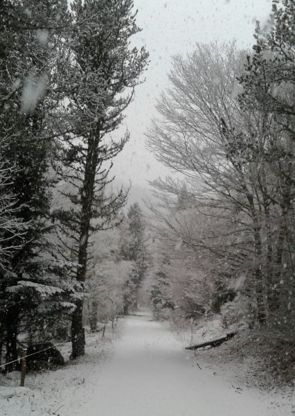 20211124_101340.jpg