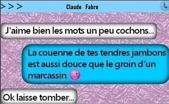 Claude Fabre  copie d ecran.jpg