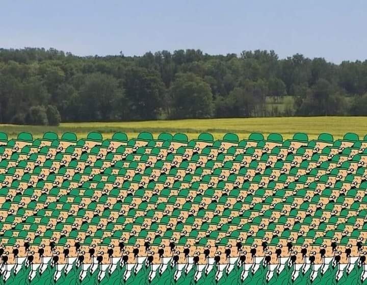turnesol.jpg