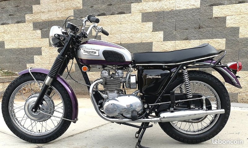 t 100.jpg