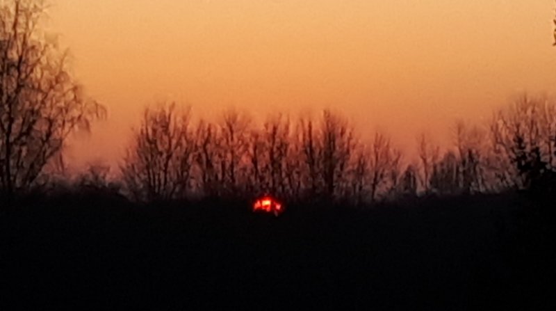 20220124_173339.jpg