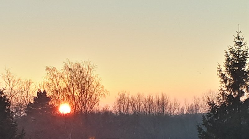 20220113_171217.jpg