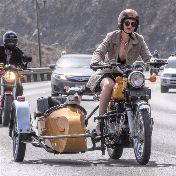 motarde-side-car.jpg