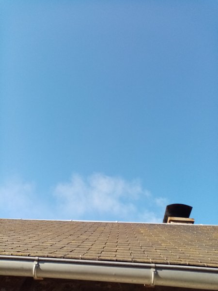 IMG_20220127_104101.jpg