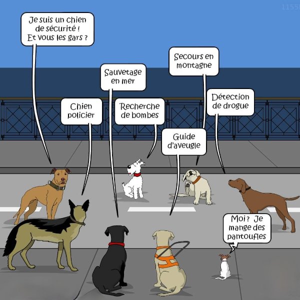 chiens.jpg