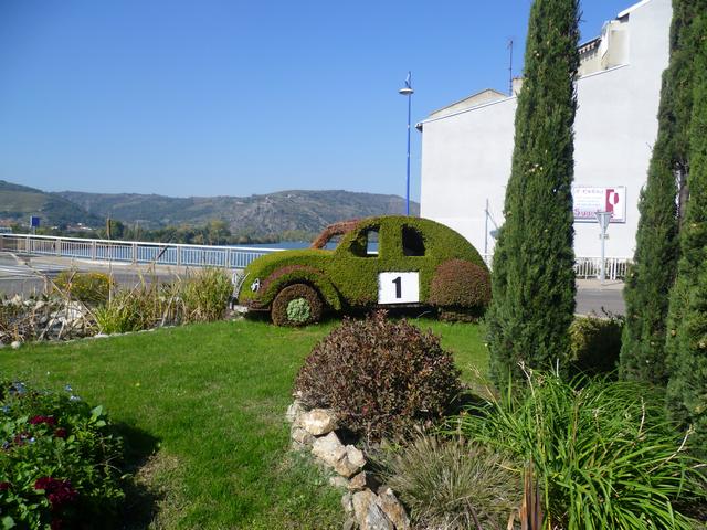 P1070721.JPG