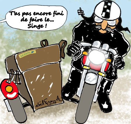 Side-sacoche.jpg