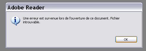 Erreur pdf.jpg
