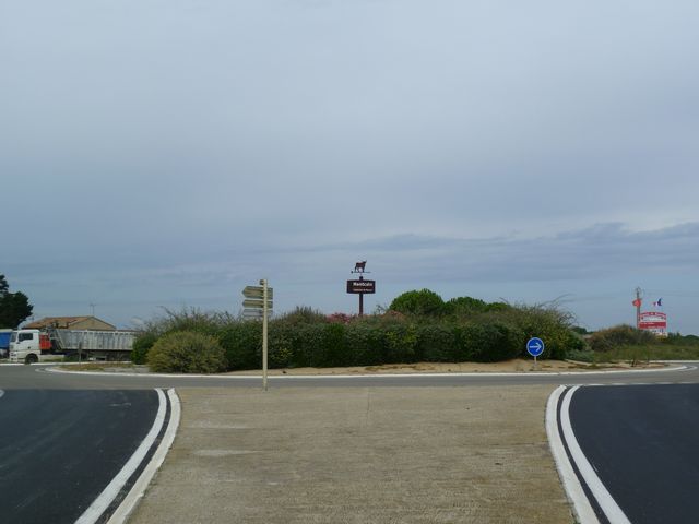P1070562.JPG