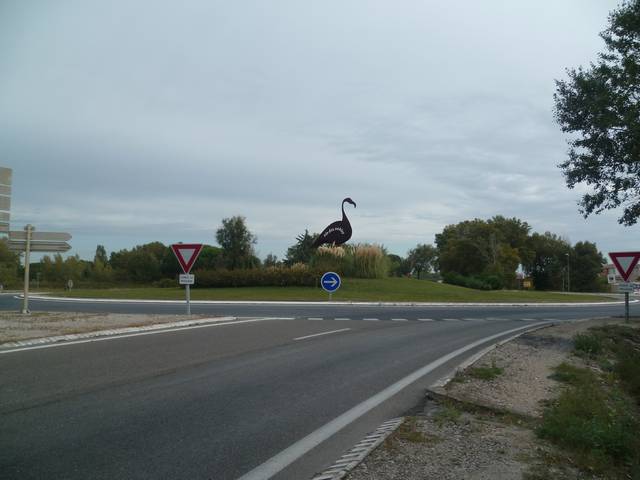 P1070528.JPG