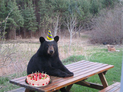 16BD817E-3505-4AE9-91C0-1552F879AF8F.jpeg