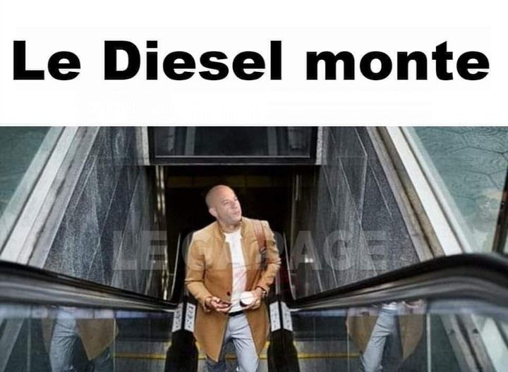 VinMazout.jpg