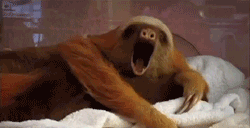 photofunky 1.gif