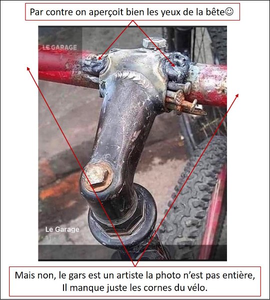 Torovélo.jpg