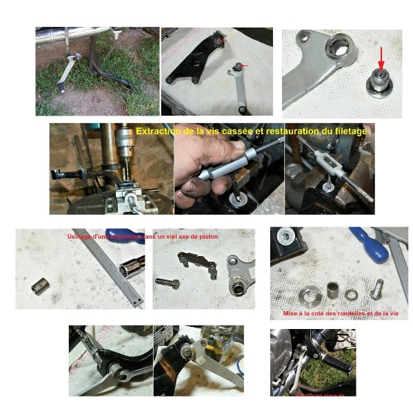 select01.jpg