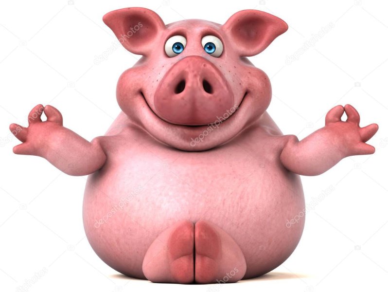 depositphotos_130046402-stock-photo-funny-pig-doing-yoga.jpg