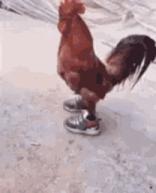 5BCA0248-F45D-4EBD-A815-39122F6EDFC1.gif