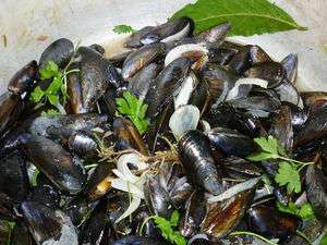moules-mariniere--312290p509156.jpg