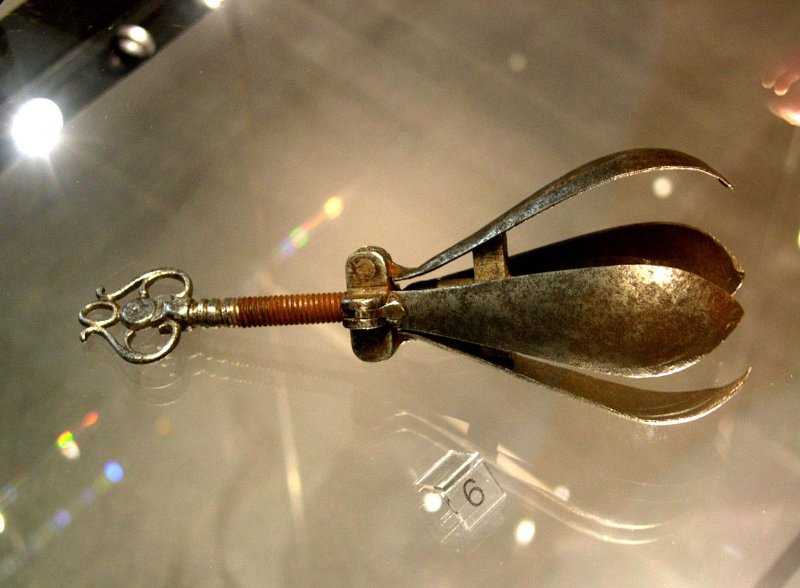 1200px-Oral_pear.jpg