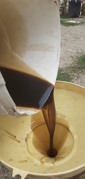 20220924_165505.jpg