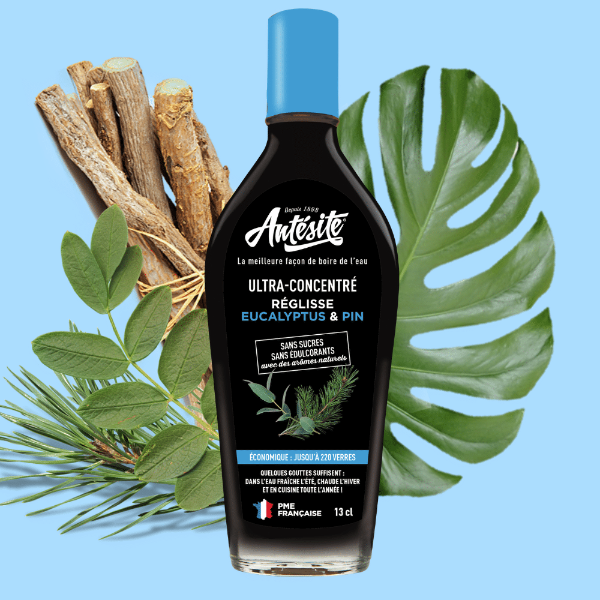 antesite-concentre-reglisse-eucalyptus-pin.png