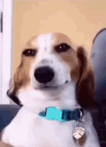 B4326EC1-0A64-470F-9CCF-70927131FD0C.gif