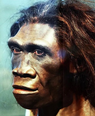 Homosapiens.jpg