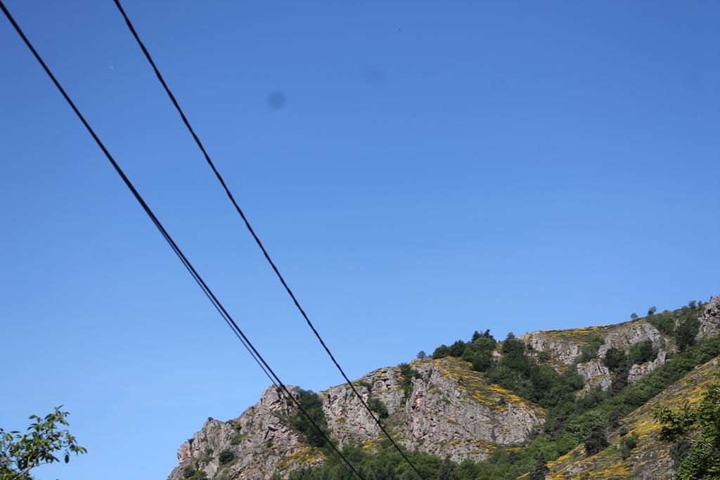 IMG_8301.JPG