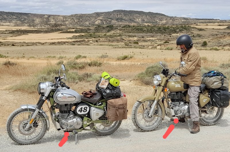 Bardenas Royals ~3.jpg